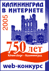 Калининград в Интернете 2005